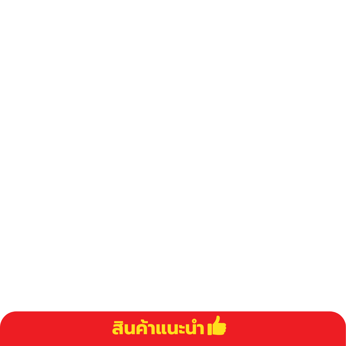 สินค้าปแนะนำ
