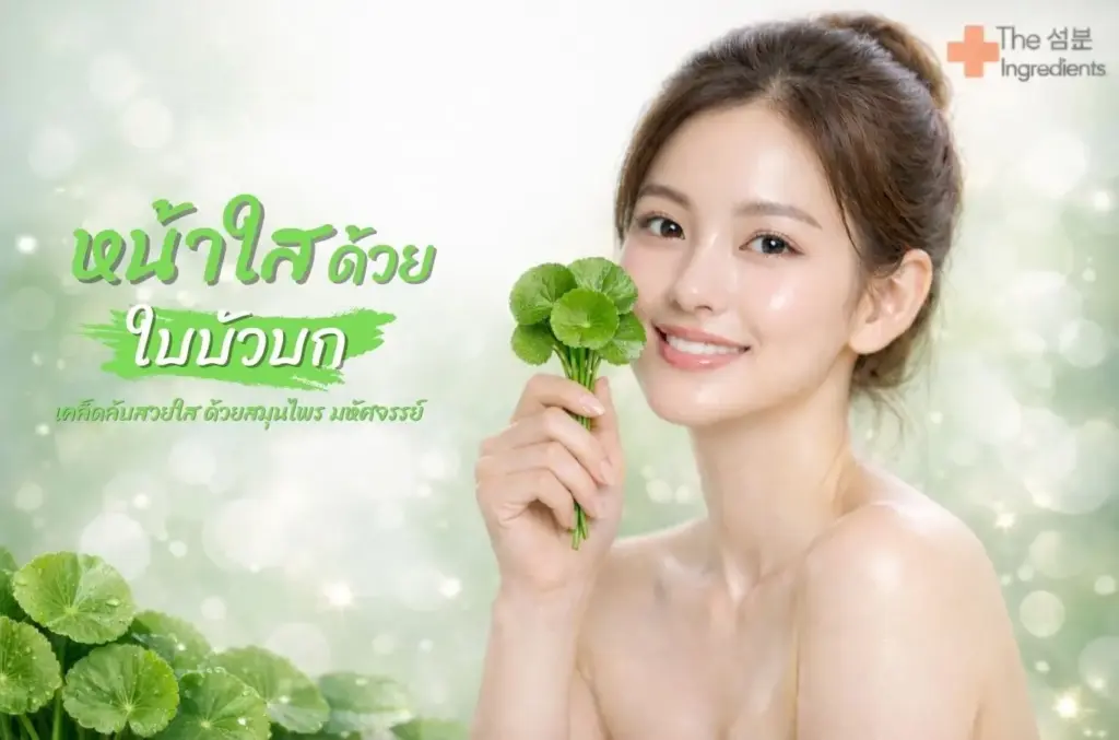 หน้าใสด้วยใบบัวบก วิธีฟื้นฟูผิวธรรมชาติ เทรนด์สกินแคร์ปี 2026